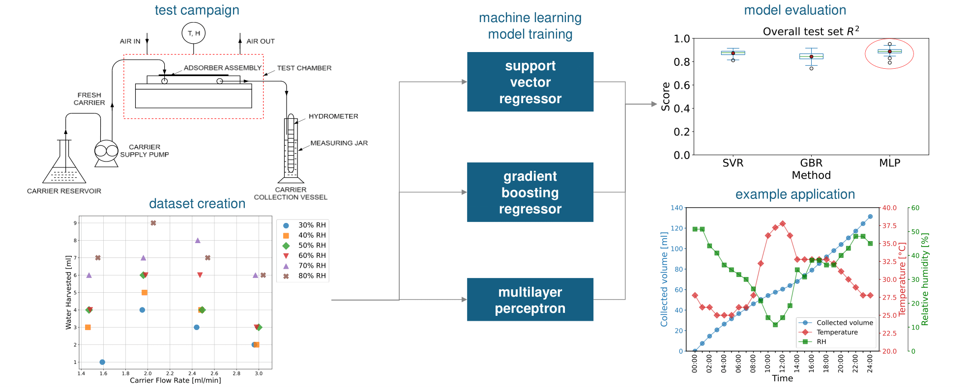 Experimental protocol
